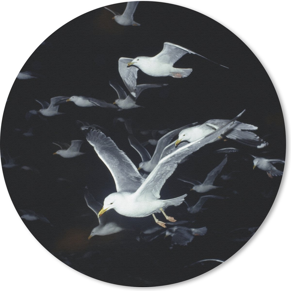 Muismat rond 20x20 cm - Mousepad Vogel - Zwart - Zwerm - Ronde muismatten