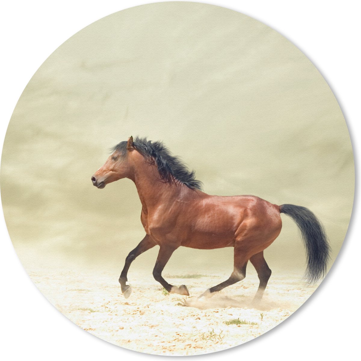 Muismat rond 20x20 cm - Mousepad Paard - Stof - Zand - Ronde muismatten