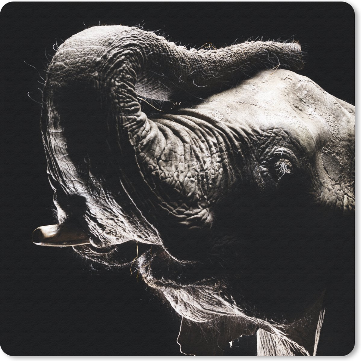 Muismat 30x30 cm - Mousepad Olifant - Zwart - Dieren - Portret - Muismatten