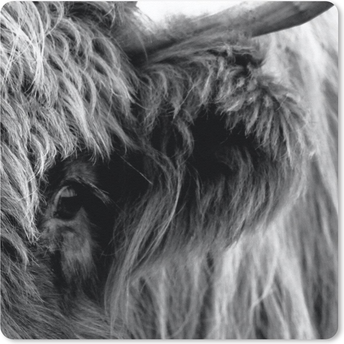 Muismat 20x20 cm - Mousepad Schotse Hooglander - Oog - Zwart - Wit - Muismatten