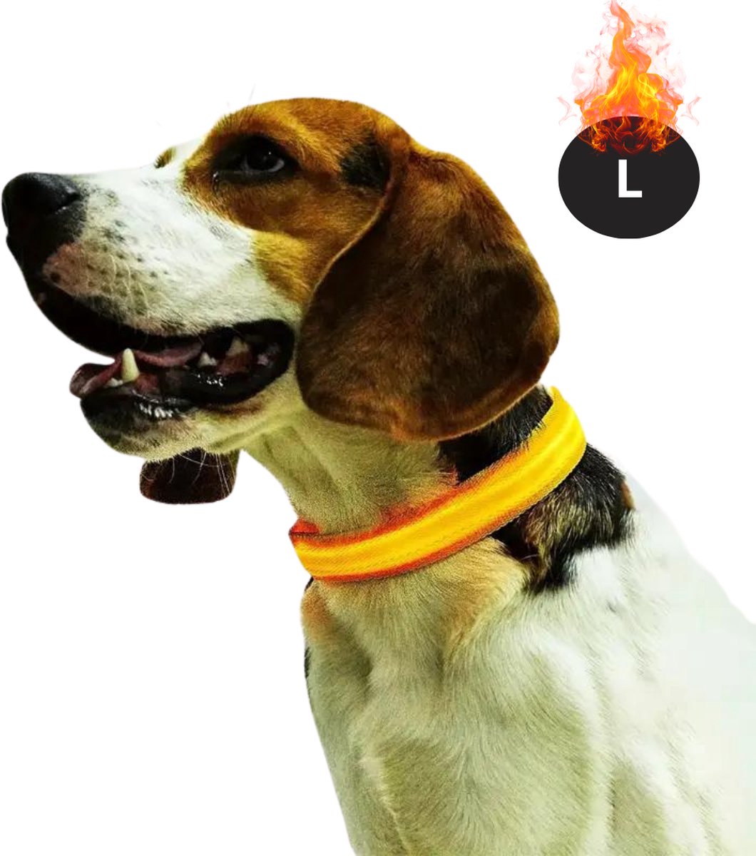 Livano Lichtgevende Halsband - Verlichte Halsband - Lichtgevend - Hond - Kat - Lampje - Hondenhalsband Led - Oplaadbaar - Glow In The Dark - Geel - L