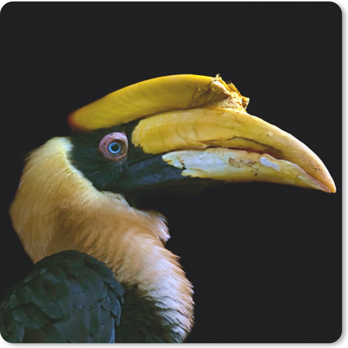 Muismat 30x30 cm - Mousepad Vogel - Snavel - Zwart - Muismatten