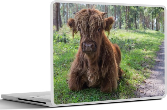 Sticker ordinateur portable - 10,1 pouces - Scottish Highlander - Crapaud - Animaux