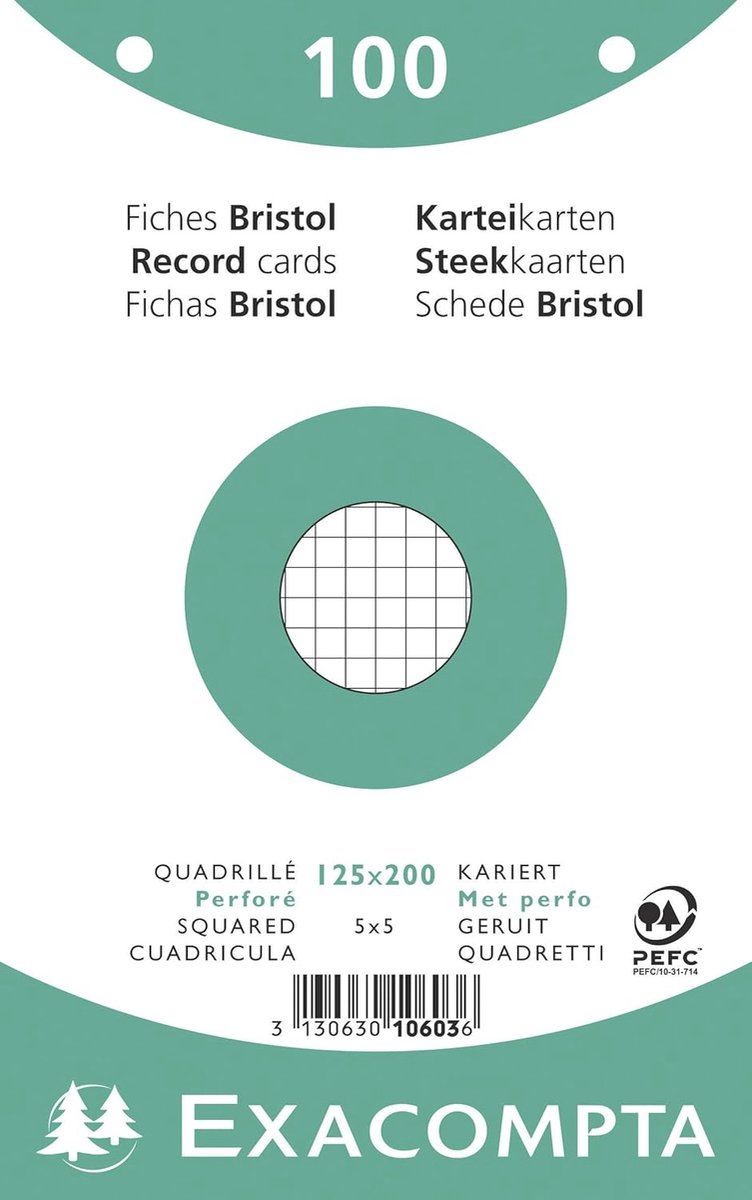 Bristol Vierkante Geperforeerde Platenkaarten - 100 Stuks - 125 x 200 mm - 205 gsm - Compatibel met Printers - Ideaal voor Examenrevisie en Notities