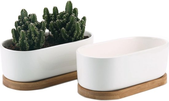 Veemoon Keramische waterlelie schaal narcis nautance koperen munt gras bloempot met standaard Lotus hydrocultuur container narcis bonsai plant voor tuin woondecoratie