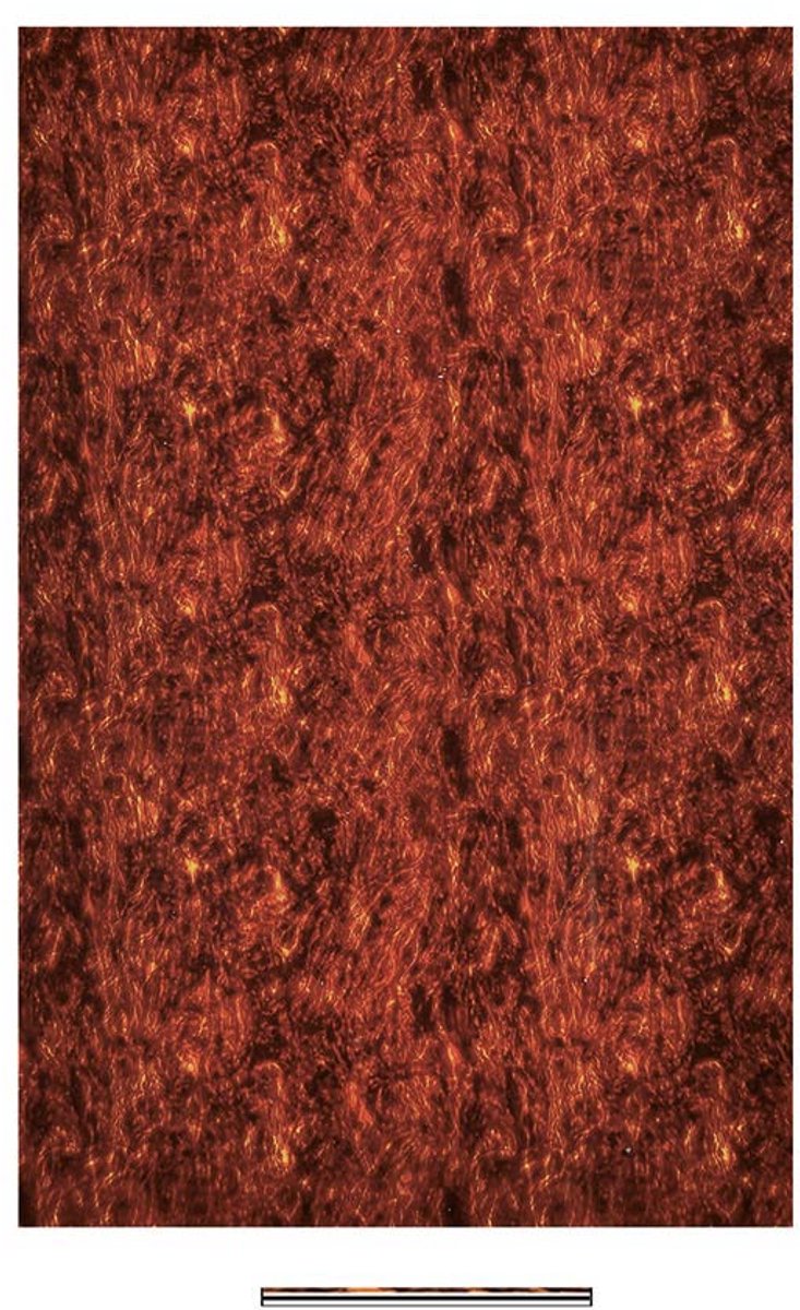 Boston PG-434-T pickguard material, 4 ply, 45x29cm, tortoise
