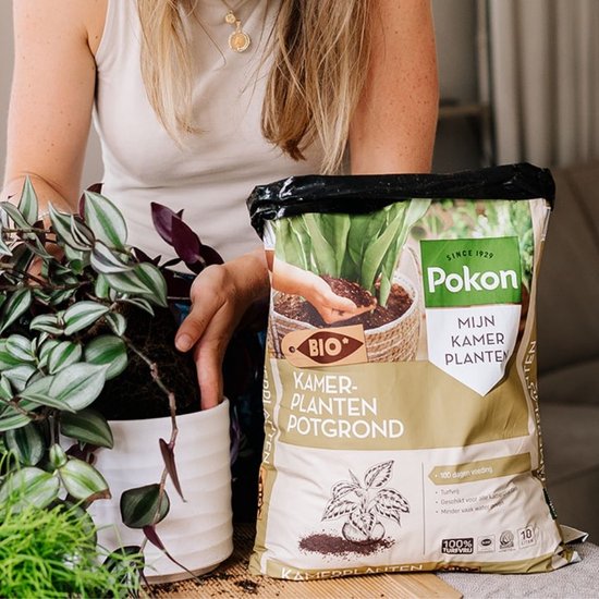 Zak Pokon BIO Kamerplanten potgrond naast een kamerplant die in een witte pot wordt geplant.