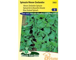 Nieuw-Zeelandse Spinazie Zaden, Hittebestendige Spinazie - New Zealand Spinach Seeds, Heat Tolerant Spinach - Graines d'Épinard de la Nouvelle-Zélande, Résistant à la Chaleur