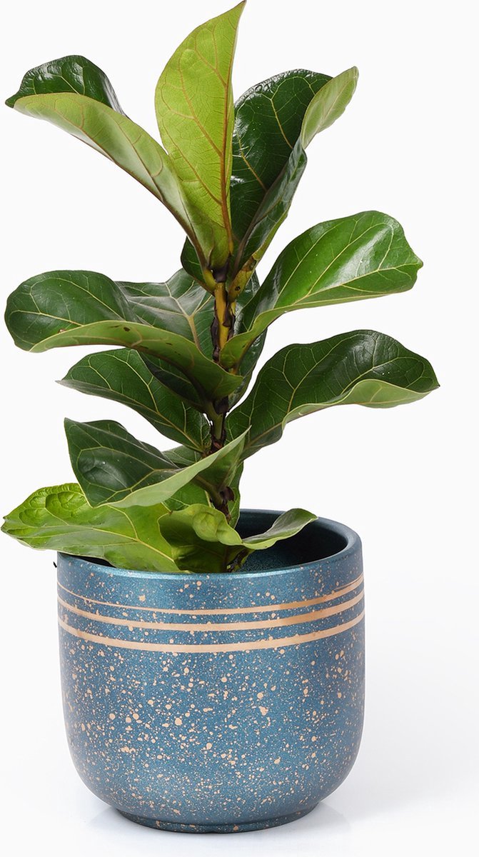 Bloempotten Binnen - Keramiek - Gouden Rand - Bloempot buiten - Afvoergat 19 cm - Wit Zwart – Medium