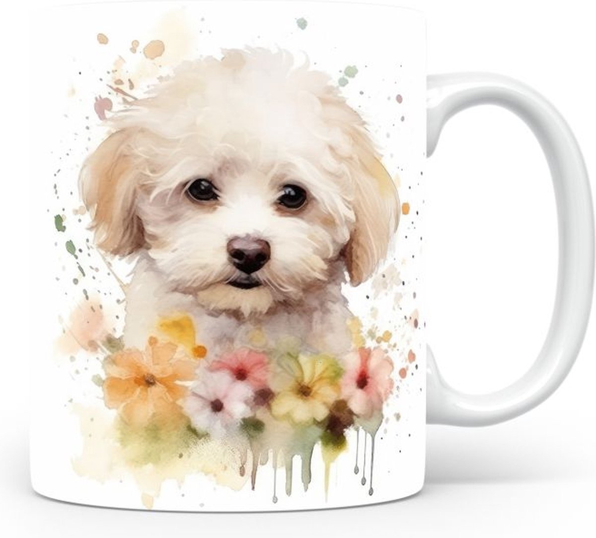 Mok met Bichon Frise