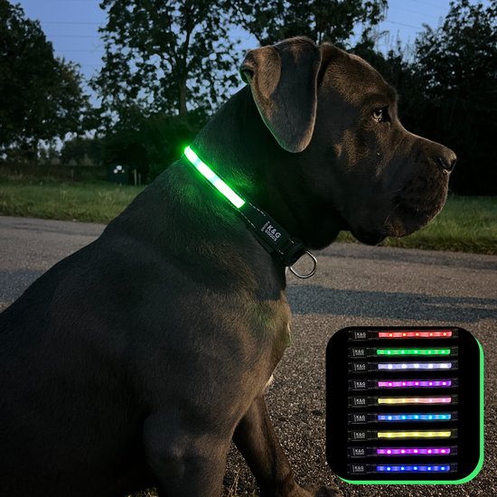 Foto: K g lichtgevende halsband hond 9 kleuropties ipx7 waterproof led inclusief oplaadkabel en apple airtag houder maat s zwart