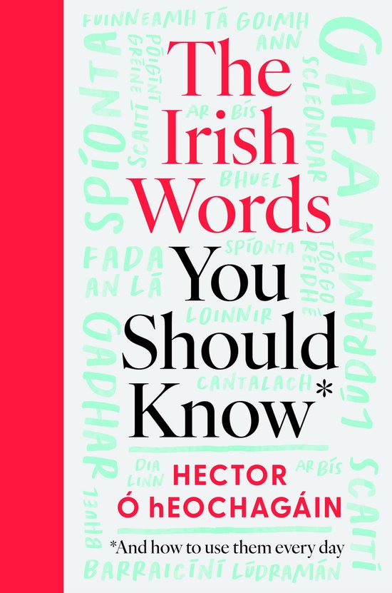 The Irish Words You Should Know - cover