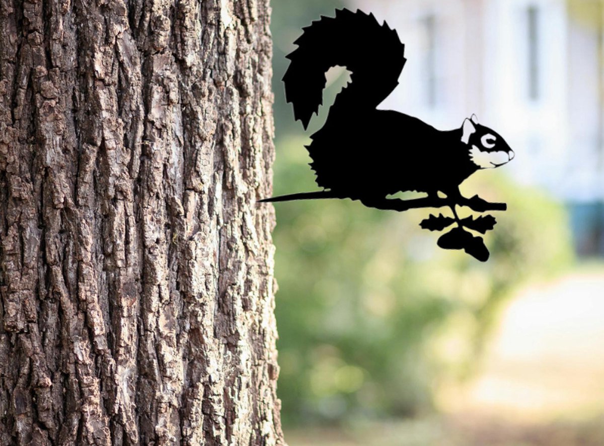 Tuindecoratie-Roestvrijstaal-Metal bird-Boomdecoratie-Metaal Decoraties-Eekhoorn
