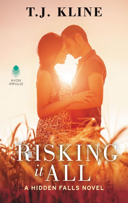 Hidden Falls 3 - Risking It All - cover