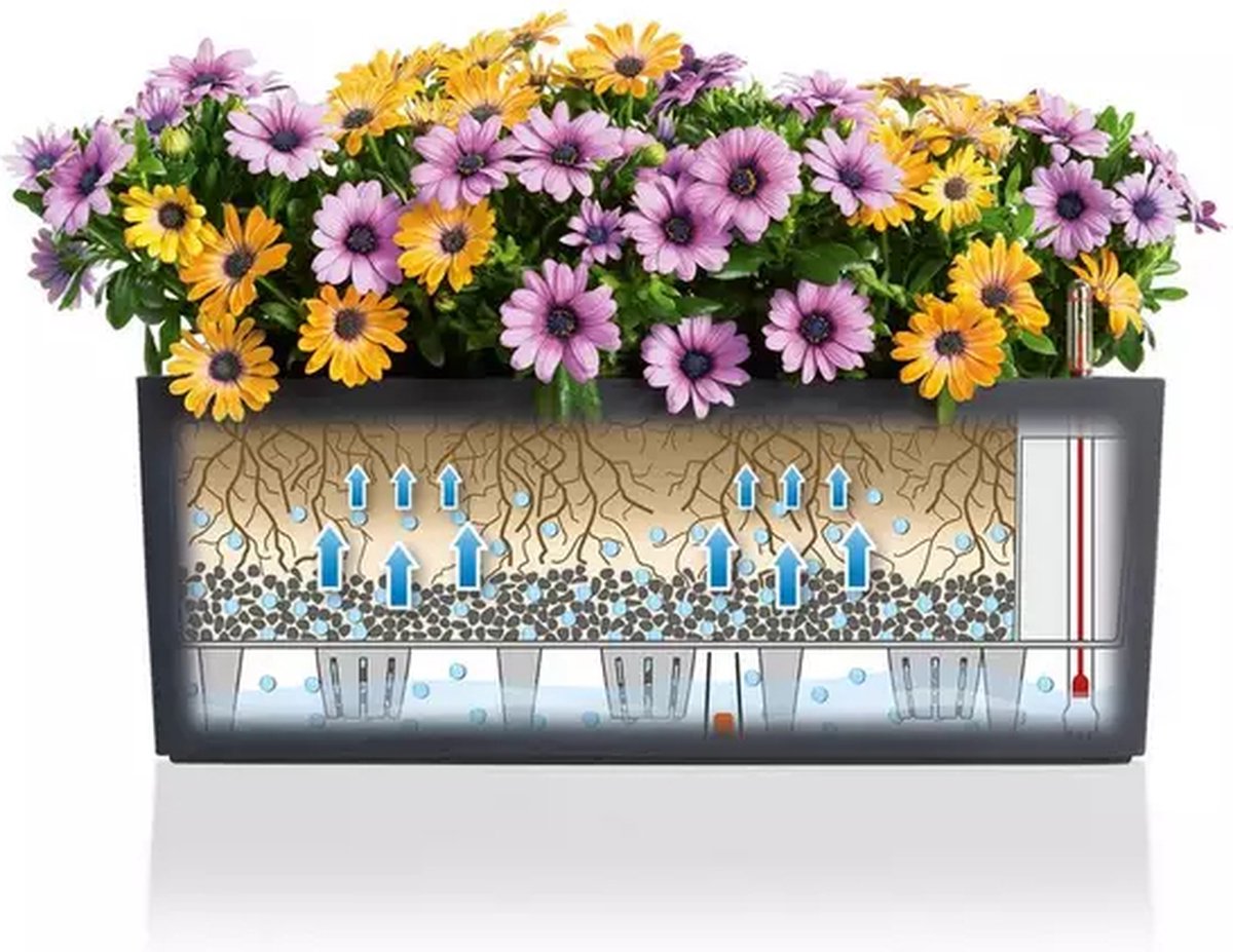 Lechuza Balconera Color 50 - Jardinière - avec pot intérieur amovible