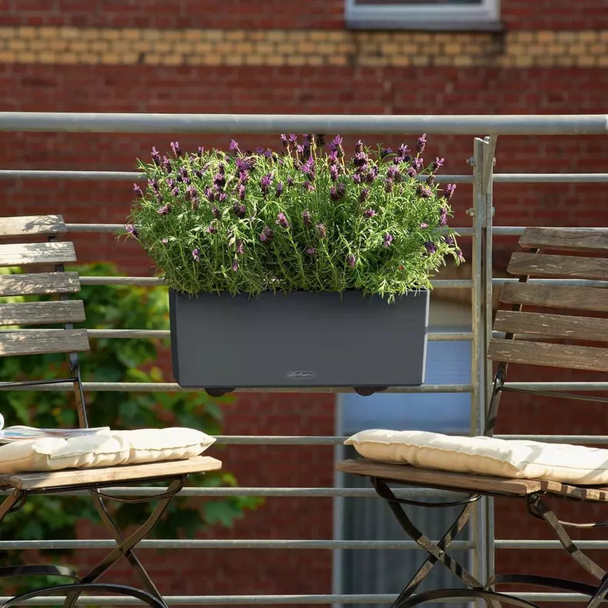 Lechuza Balconera Color 50 - Jardinière - avec pot intérieur amovible
