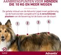 Close-up van een sheltie met aanbrengpunten 1 tot 4 gemarkeerd op de rug.