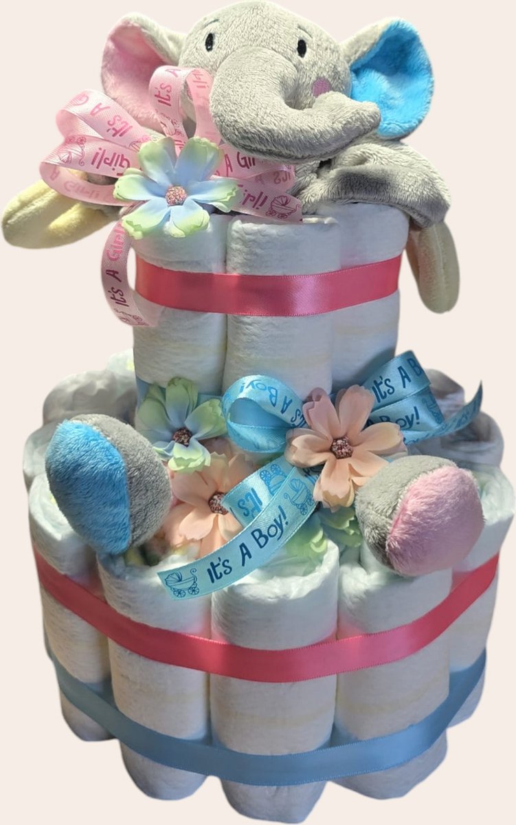 Goedkoopste Luiertaart speciaal voor gender reveal - roze en blauw