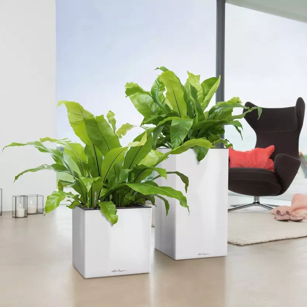 Lechuza Canto Premium 40 high - Planter - with removable inner pot