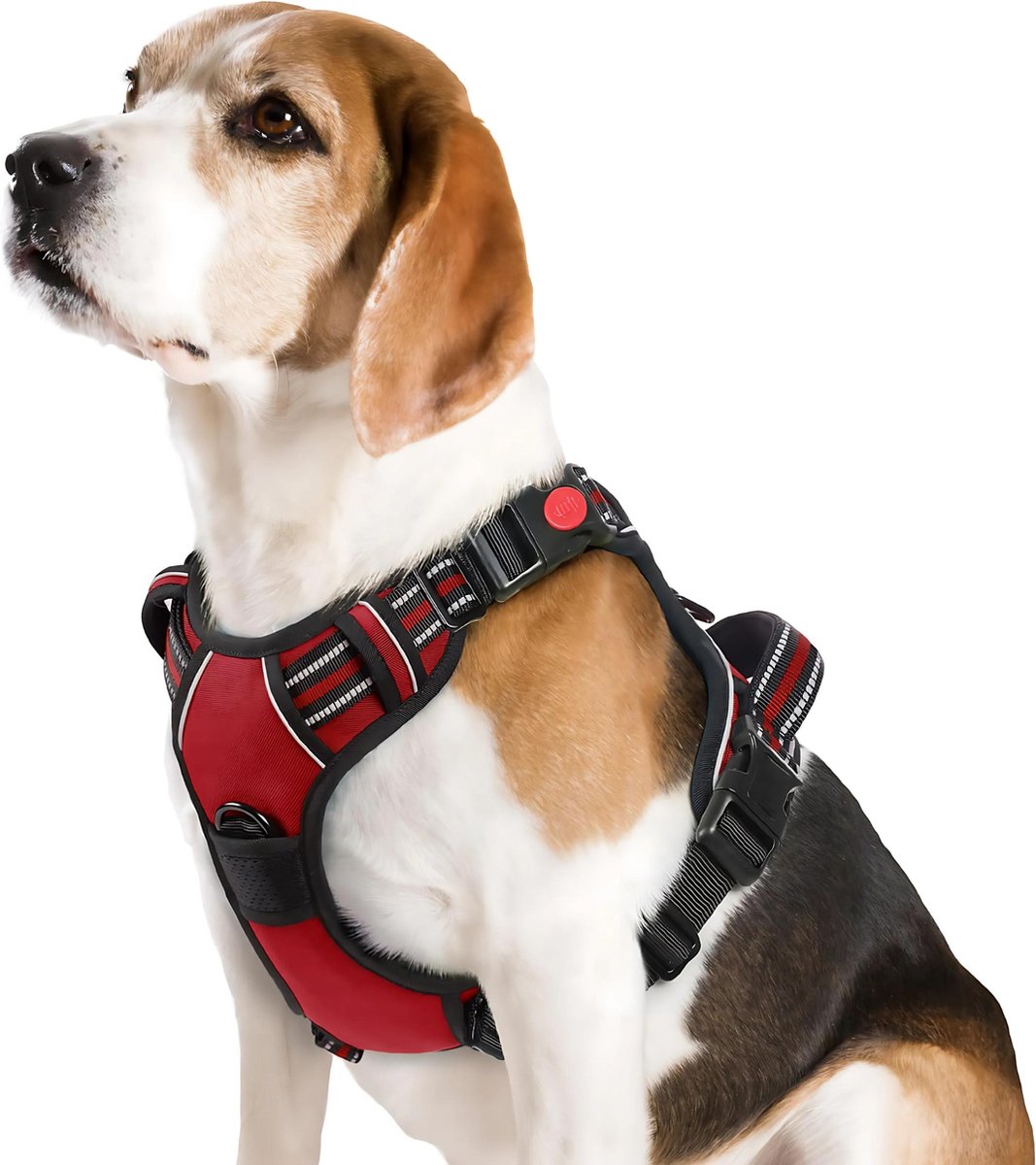 Bol.com JAXY Hondenharnas - Hondentuig - Hondentuigje Kleine Hond - Y Tuig Hond - Harnas Hond - Anti Trek Tuig Hond - Reflectere... aanbieding