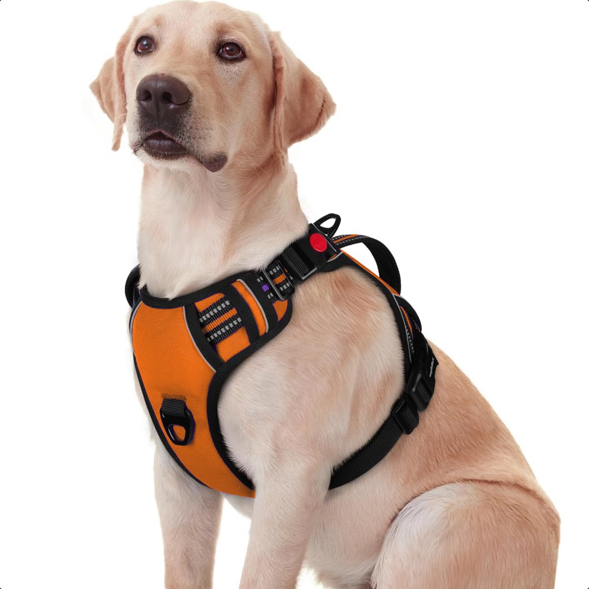 JAXY Hondenharnas - Hondentuig - Hondentuigje Kleine Hond - Y Tuig Hond - Harnas Hond - Anti Trek Tuig Hond - Reflecterend - Maat XL - Oranje