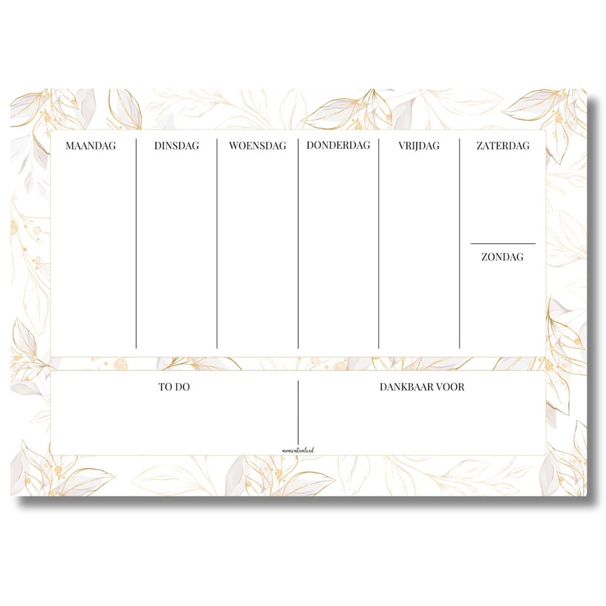 Luxe Weekplanner A4 - Afscheurbaar - 50 vellen - Ongedateerd - Papier Planner - Deskplanner - Bureauplanner - Gold Flower - Wit & Goud