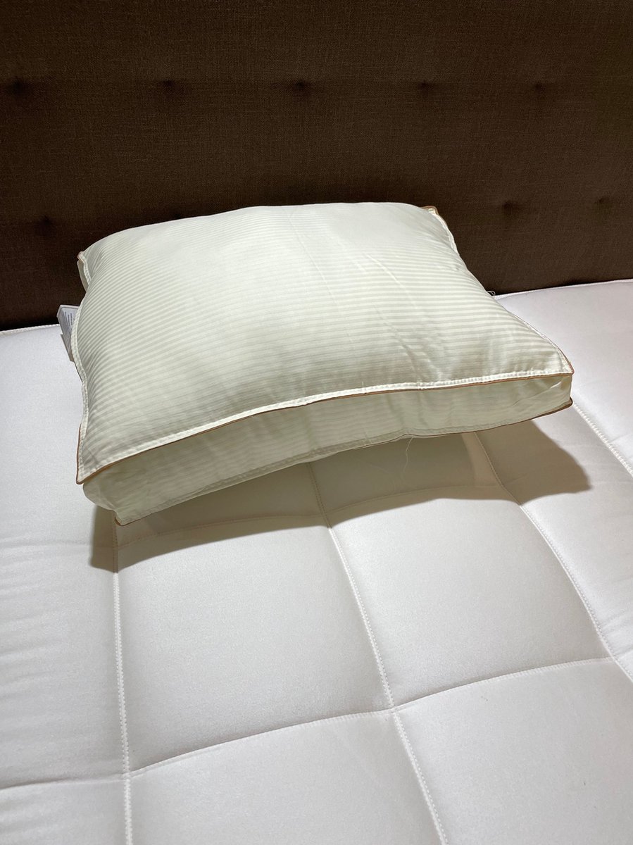 BOXKUSSEN GOLD 50x60