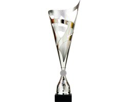 Trofee/beker-zilver-kuststof-44 cm x 15 cm
