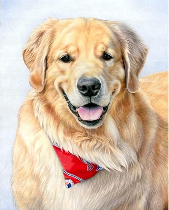 Foto: Diamond painting labrador 50x40cm diamond painting diamond painting pakket volledig bedekt volwassenen ronde steentjes