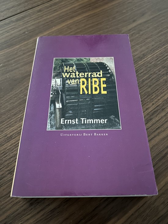 Omslag van Het waterrad van Ribe