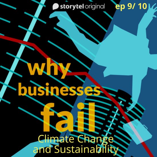 Why Businesses Fail? S01E09 - cover