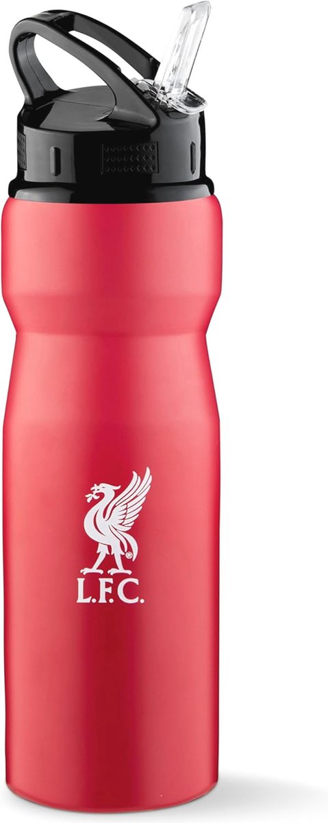 Goedkoopste Metalen waterfles met rietje - 750 ml voor sport en dagelijks gebruik