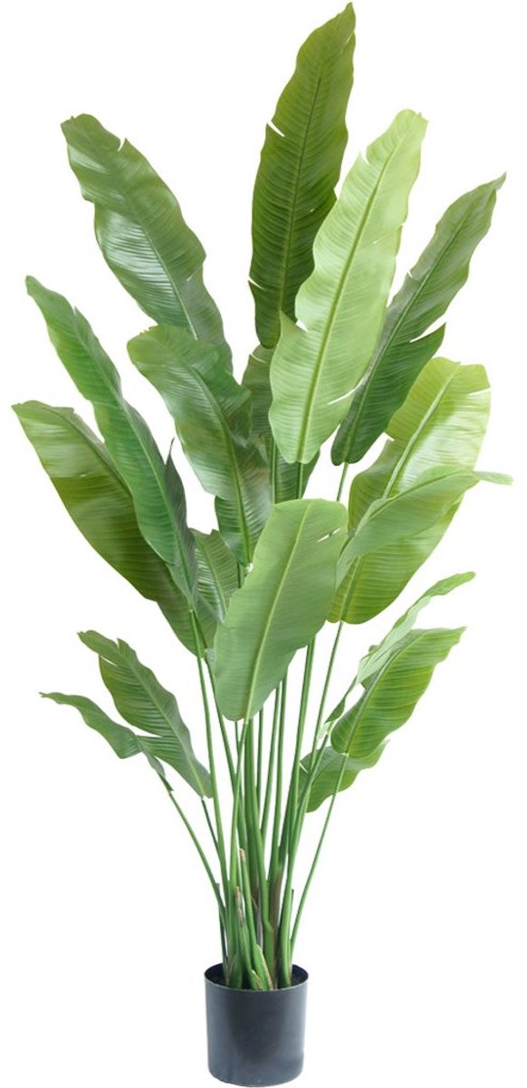 Greenmoods Kunstplanten - Kunstplanten - Strelitzia Nicolai Deluxe - Zijde - 200 cm
