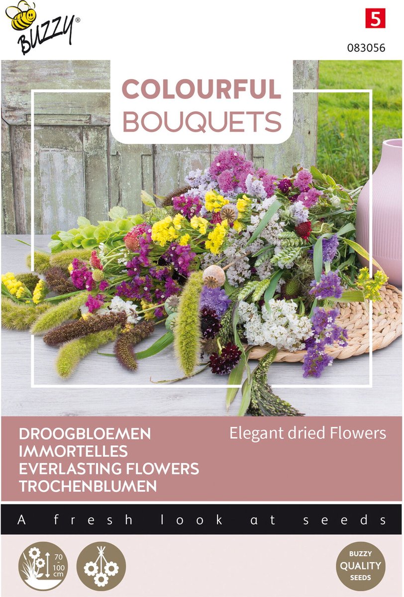Buzzy bloemzaad - Droogbloemen - Elegant dried Flowers | Colorful Bouquets