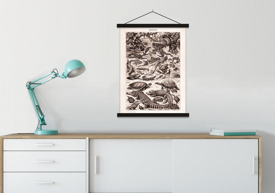 Posterhanger avec affiche - Affiche scolaire - Reptiles - Animaux - Zwart - Wit - 60x80 cm - Lattes noires