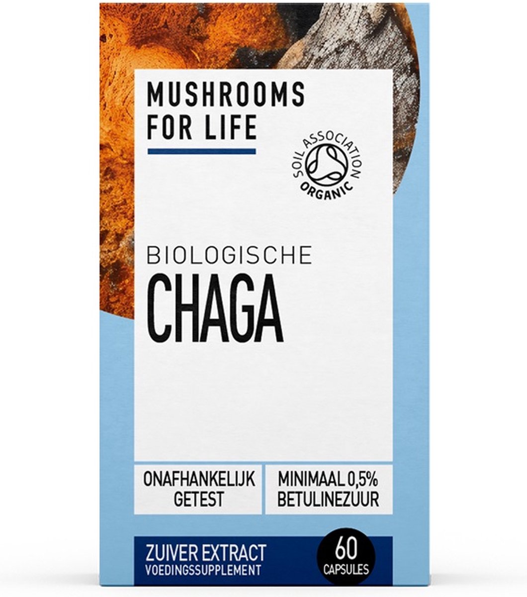 Chaga Paddenstoelen Capsules Bio Mushrooms For Life 60caps