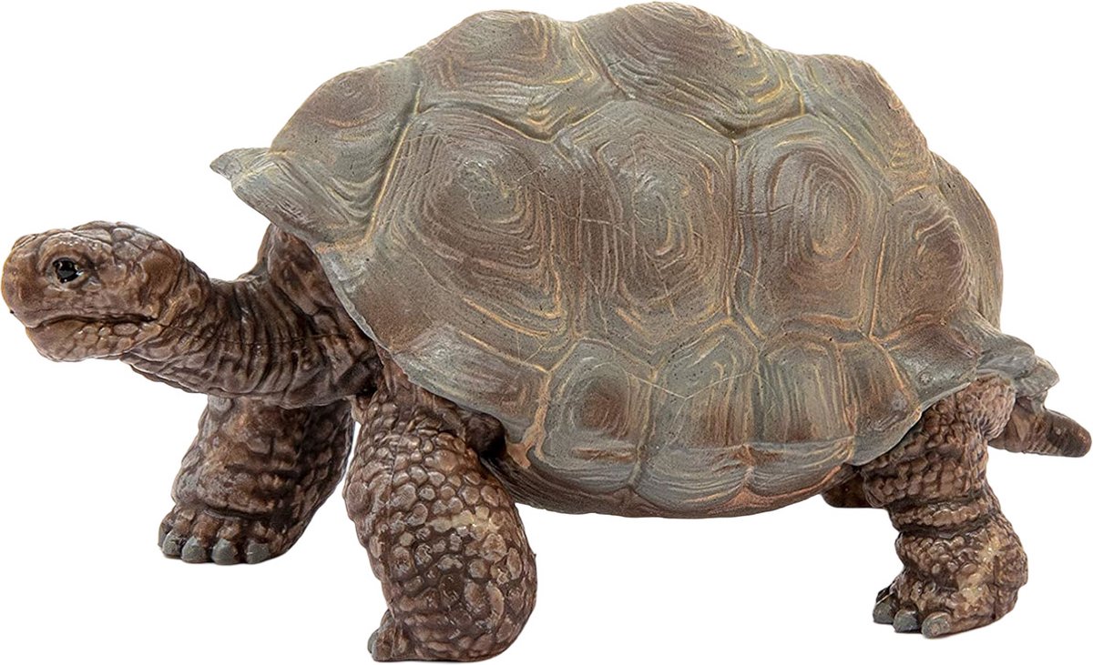 schleich WILD LIFE - Reuzenschildpad - Speelfiguur - Schildpad speelgoed - 14824 — afbeelding 7