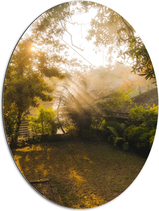 Dibond Ovaal - Huis - Tuin - Groen - Gras - Planten - Bomen - 60x80 cm Foto op Ovaal (Met Ophangsysteem)