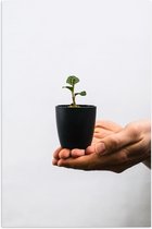Poster Glanzend – Plant - Handen - Bloempotje - Groen - 50x75 cm Foto op Posterpapier met Glanzende Afwerking
