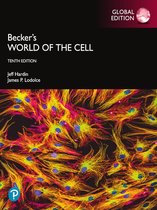 Lecture notes - Cell And Molecular Biology (Respiration part 2) - using Becker's World of the Cell, Global Edition
