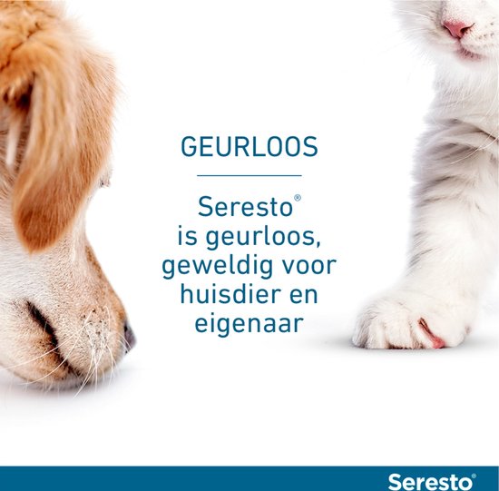 Close-up van een puppy-oor en een kattenpoot, beide met een Seresto halsband.