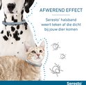 Deel van een Dalmatiër en een oranje gestreepte kat, beide met een Seresto halsband. Afwerend effect tegen teken wordt gevisualiseerd.