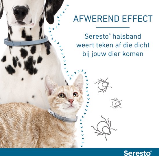 Deel van een Dalmatiër en een oranje gestreepte kat, beide met een Seresto halsband. Afwerend effect tegen teken wordt gevisualiseerd.