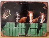 Paarden op stal metalen poster Reclamebord van metaal 33 x 25 cm METALEN-WANDBORD - MUURPLAAT - VINTAGE - RETRO - HORECA- BORD-WANDDECORATIE -TEKSTBORD - DECORATIEBORD - RECLAMEPLAAT - WANDPLAAT - NOSTALGIE -CAFE- BAR -MANCAVE- KROEG- MAN CAVE