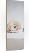 Hout - Bloem - Liggend - Wit - Roze - 40x120 cm - 9 mm dik - Foto op Hout (Met Ophangsysteem)