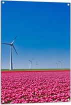 Tuinposter – Bloemen - Bloemenveld - Tulpen - Landschap - Windmolens - Nederland - Kleuren - 70x105 cm Foto op Tuinposter (wanddecoratie voor buiten en binnen)