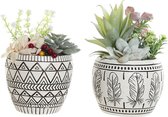 Decoratieve plant DKD Home Decor Hars Polyethyleen Cactus 12 x 12 x 18 cm (2 Stuks)