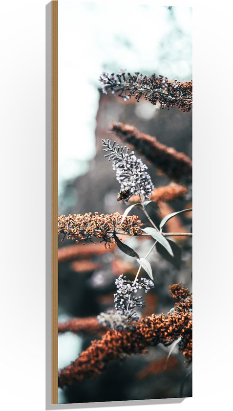 Hout - Bloemen - Natuur - Planten - Kleuren -Bladeren - 40x120 cm - 9 mm dik - Foto op Hout (Met Ophangsysteem)