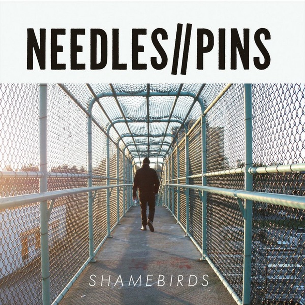 Needles//Pins - Shamebirds (LP)