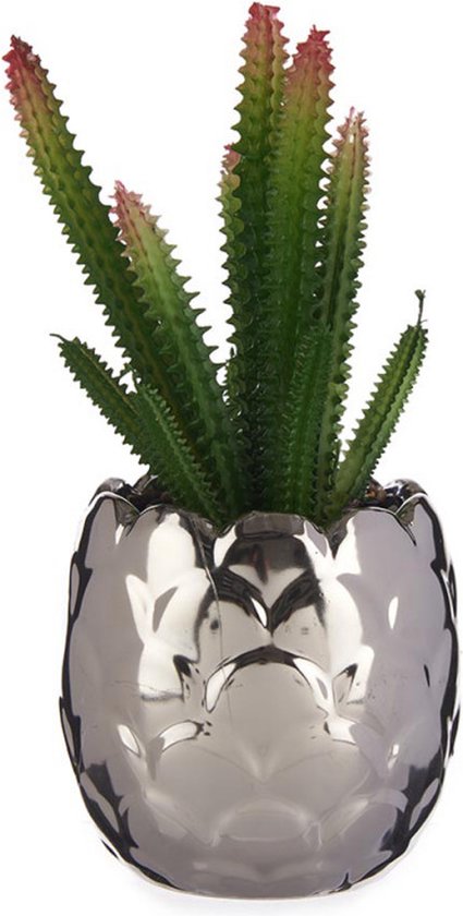 Decoratieve plant Ziverachtig Cactus Keramisch Plastic (8 x 20 x 8 cm)